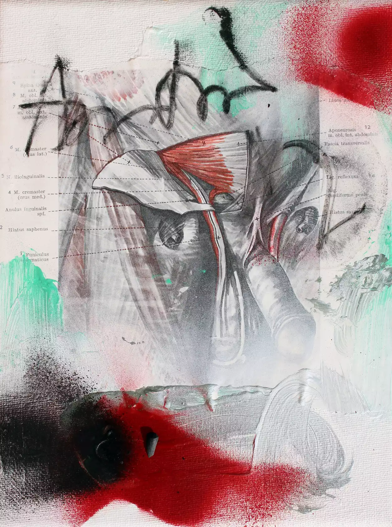 Myologia I by Merita Koskimies