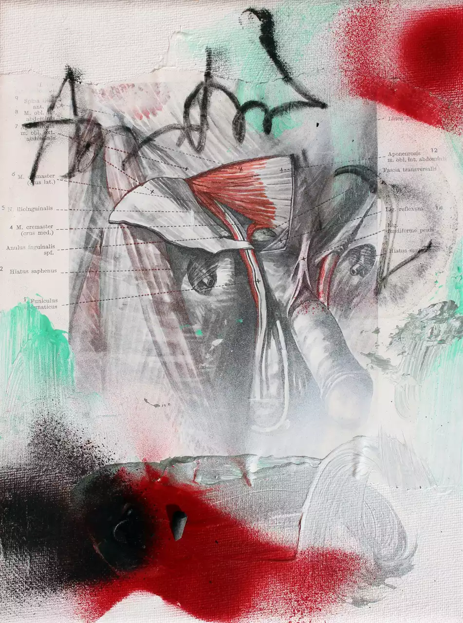 Myologia I by Merita Koskimies