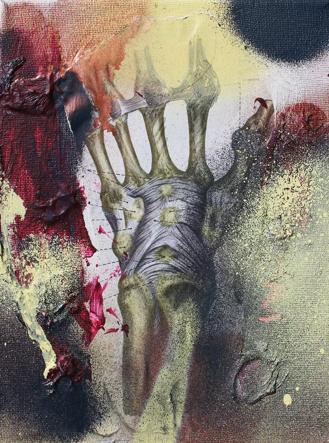 Myologia IV by Merita Koskimies